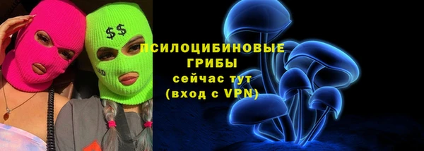 ГАЛЛЮЦИНОГЕННЫЕ ГРИБЫ Баксан