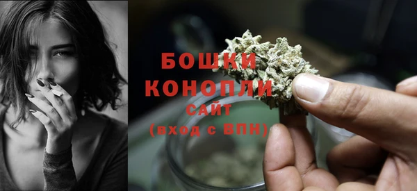 ГАЛЛЮЦИНОГЕННЫЕ ГРИБЫ Баксан
