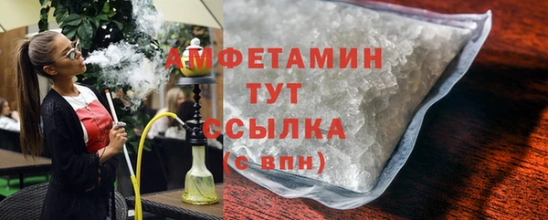 гашик Пересвет