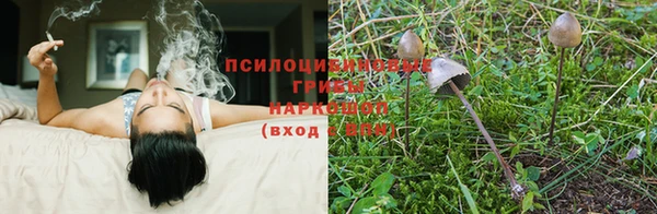 марки nbome Балахна